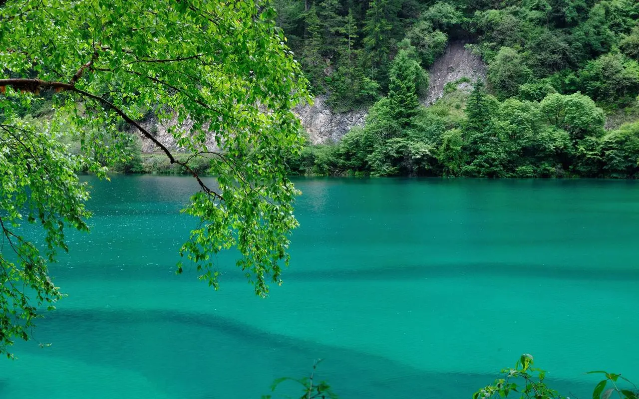 新型信息化